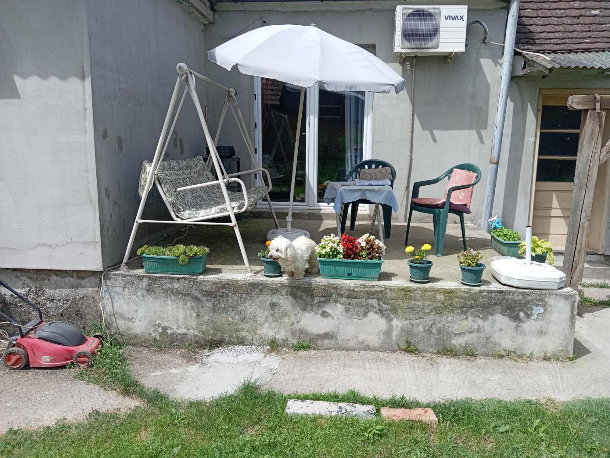Gasthaus "Poetsko Cose" Nikole Tesle 86 Morović Exterior foto